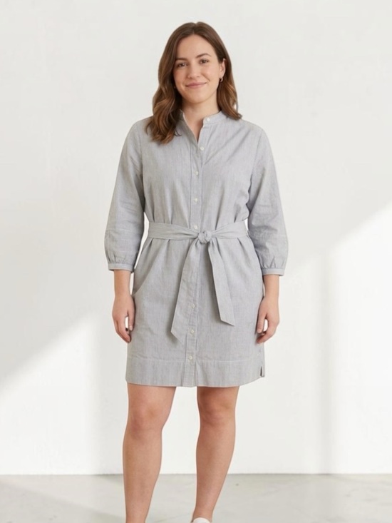 Everlane Dresses & Skirts - Everlane Striped Shirt Dress Belted Pockets Gray White Size 12